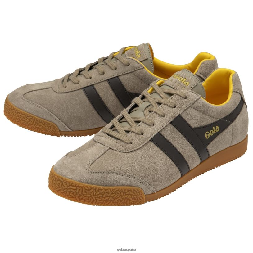 calzado V4PZL160 hombres Gola zapatillas clásicas harrier de ante 5 rinoceronte/marrón oscuro/sol
