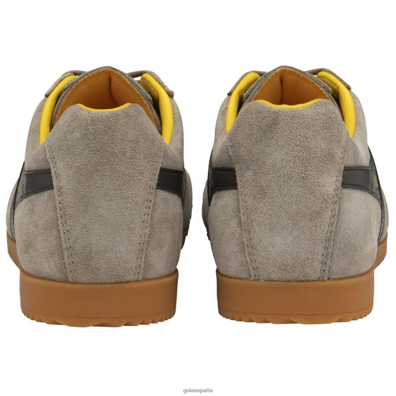 calzado V4PZL160 hombres Gola zapatillas clásicas harrier de ante 5 rinoceronte/marrón oscuro/sol