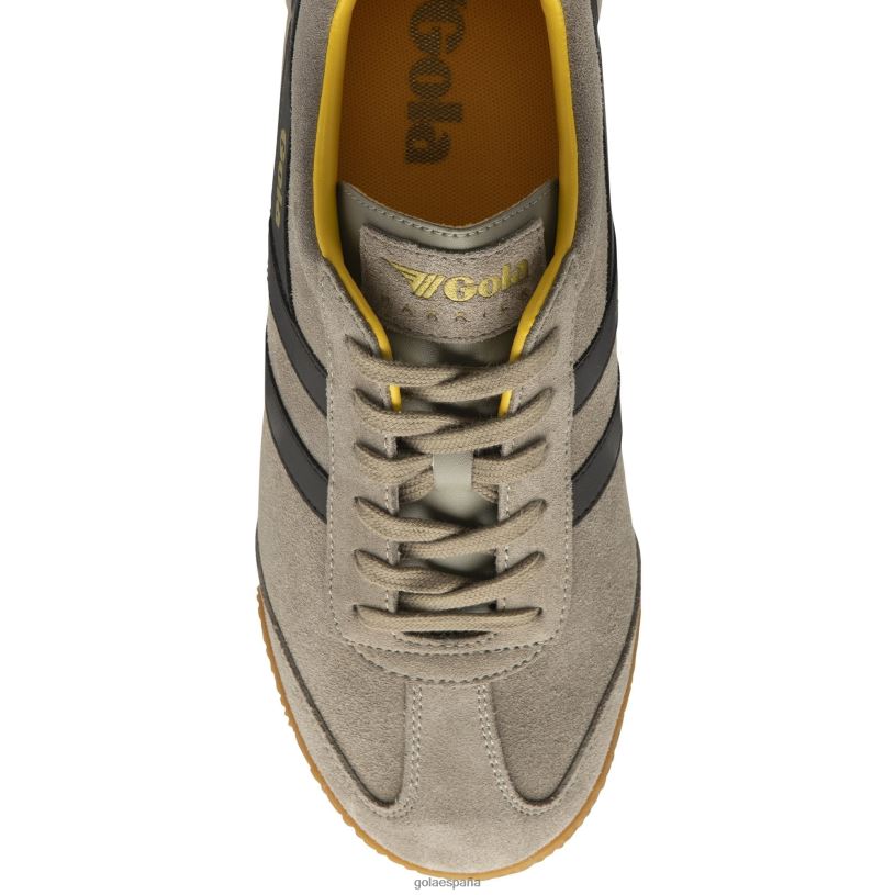 calzado V4PZL160 hombres Gola zapatillas clásicas harrier de ante 5 rinoceronte/marrón oscuro/sol