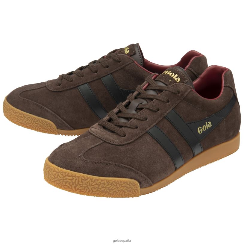 calzado V4PZL172 hombres Gola zapatillas clásicas harrier de ante 5 marrón oscuro/negro/rojo intenso