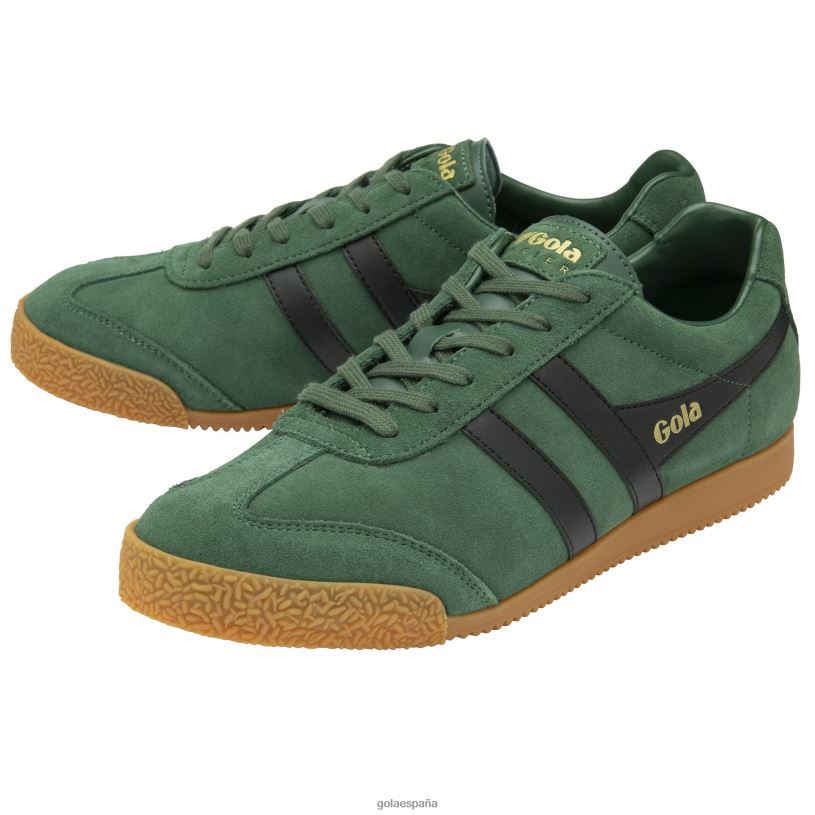 calzado V4PZL175 hombres Gola zapatillas clásicas harrier de ante 6 siempreverde/negro