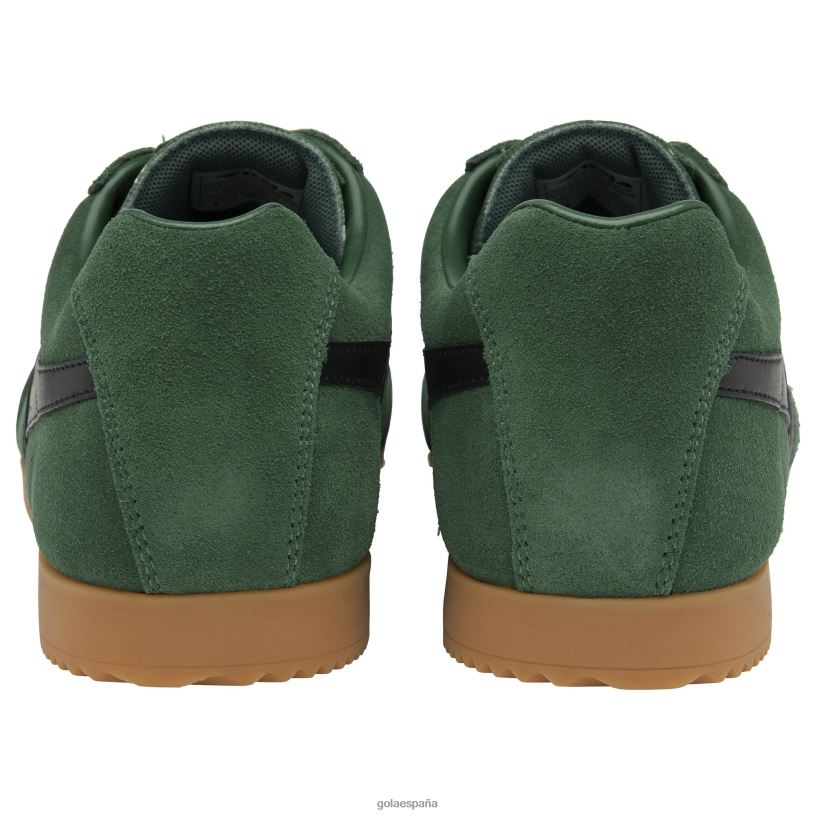 calzado V4PZL175 hombres Gola zapatillas clásicas harrier de ante 6 siempreverde/negro