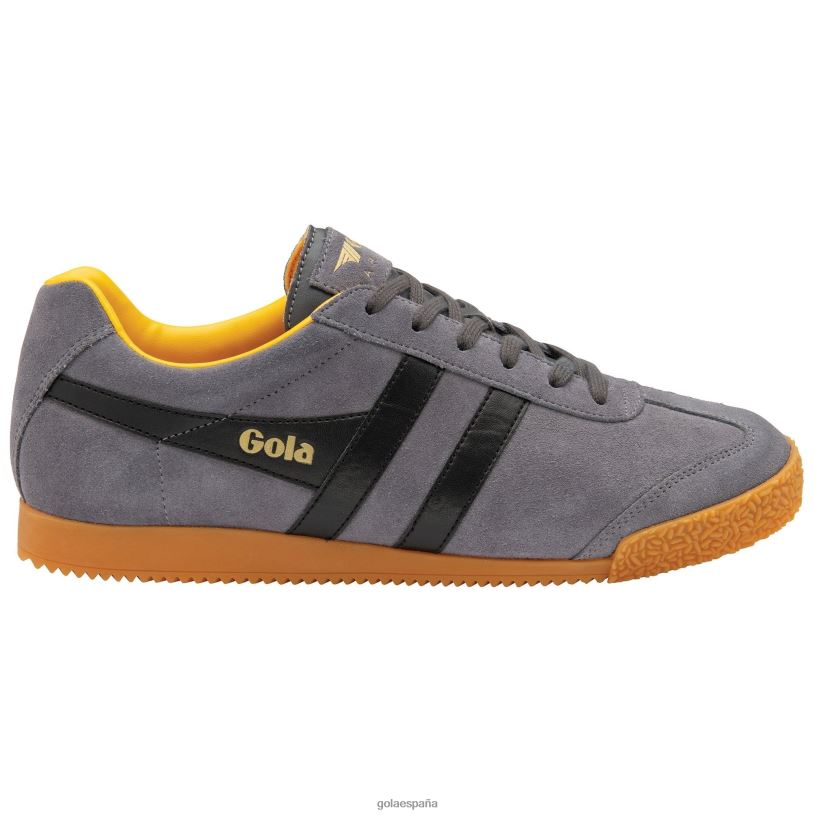 calzado V4PZL176 hombres Gola zapatillas clásicas harrier de ante 6 sombra/negro/sol