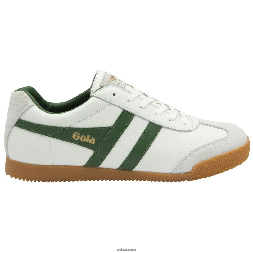 calzado V4PZL240 hombres Gola zapatillas clásicas harrier de piel blanco verde