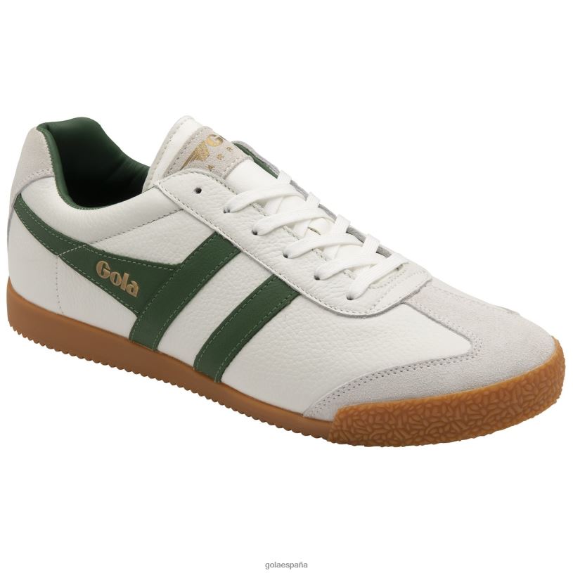 calzado V4PZL240 hombres Gola zapatillas clásicas harrier de piel blanco verde