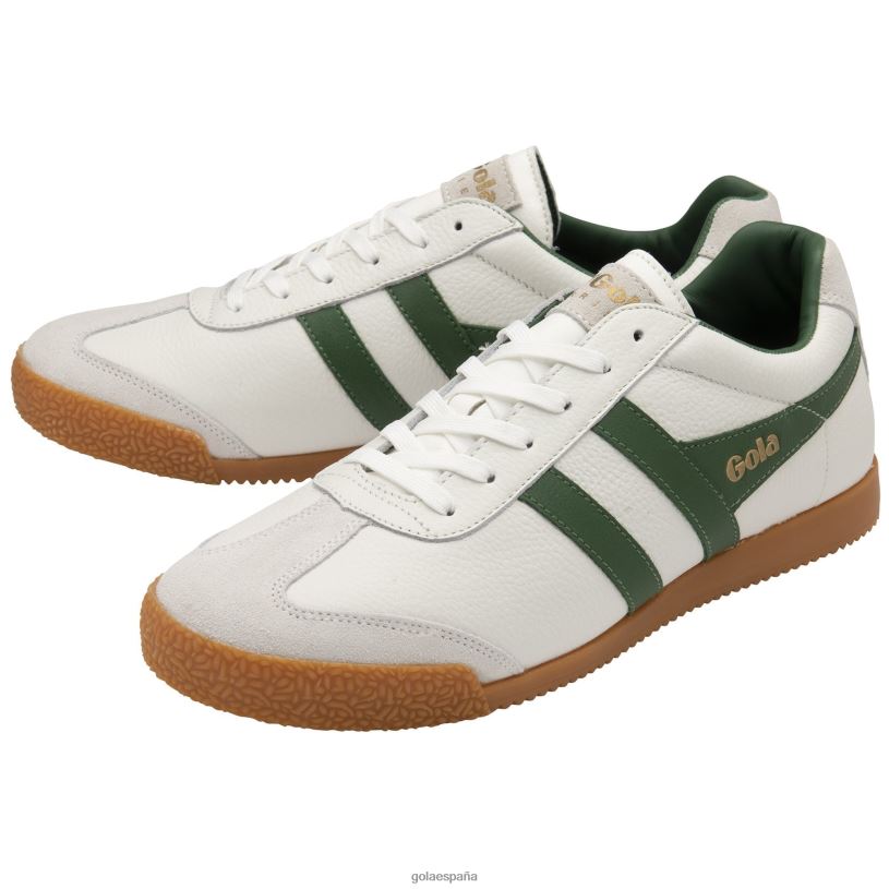 calzado V4PZL240 hombres Gola zapatillas clásicas harrier de piel blanco verde