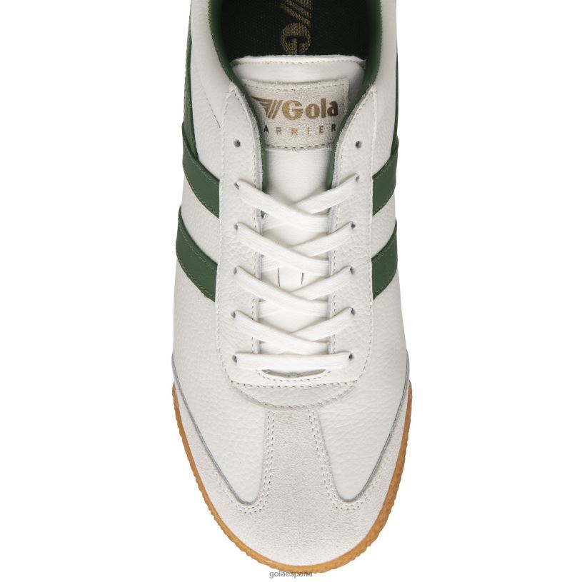 calzado V4PZL240 hombres Gola zapatillas clásicas harrier de piel blanco verde
