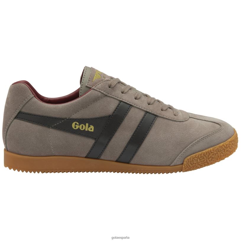 calzado V4PZL256 hombres Gola zapatillas classics harrier de ante 7 rinoceronte/marrón oscuro/rojo intenso