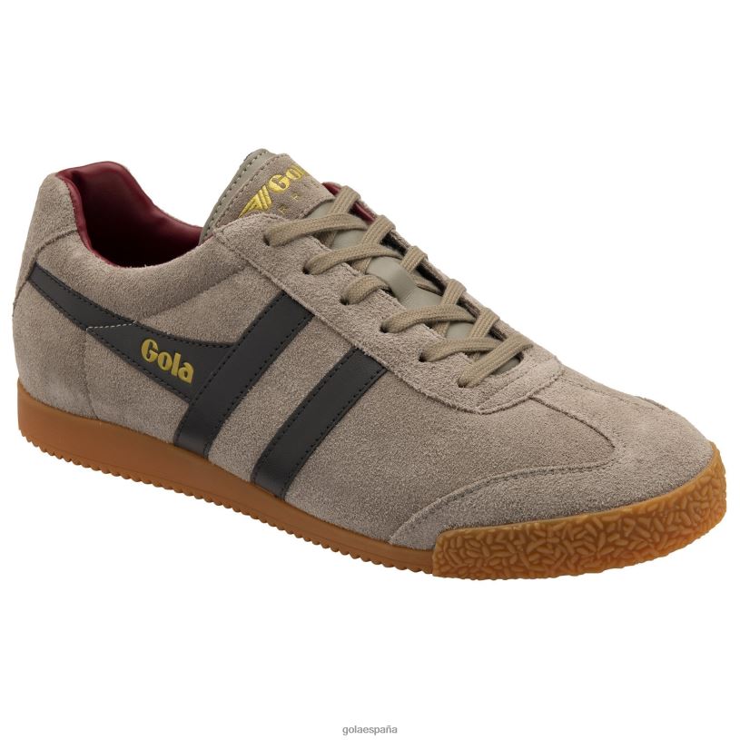 calzado V4PZL256 hombres Gola zapatillas classics harrier de ante 7 rinoceronte/marrón oscuro/rojo intenso