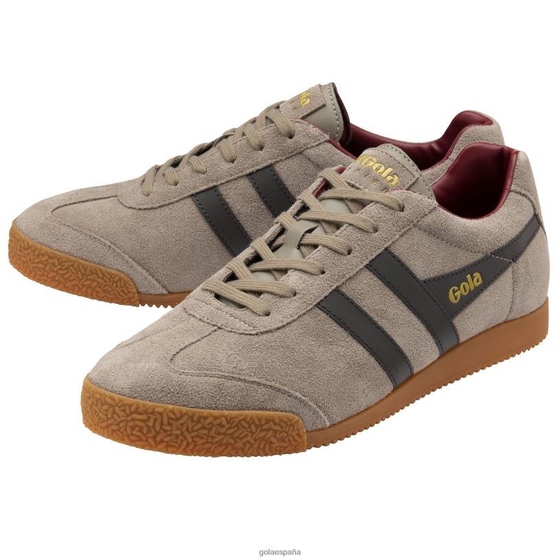 calzado V4PZL256 hombres Gola zapatillas classics harrier de ante 7 rinoceronte/marrón oscuro/rojo intenso