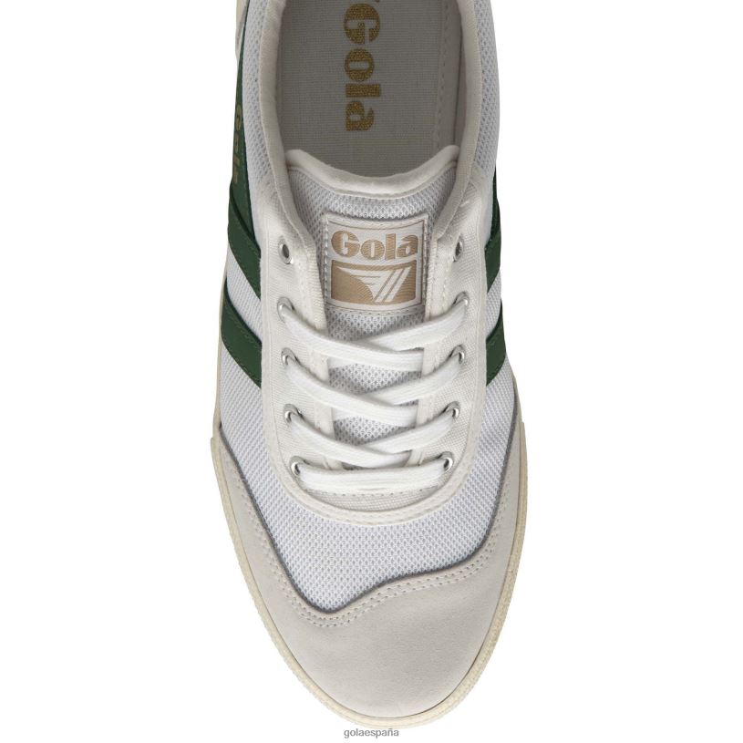 calzado V4PZL63 hombres Gola tenis classics bádminton de malla blanco/verde oscuro/azul marino