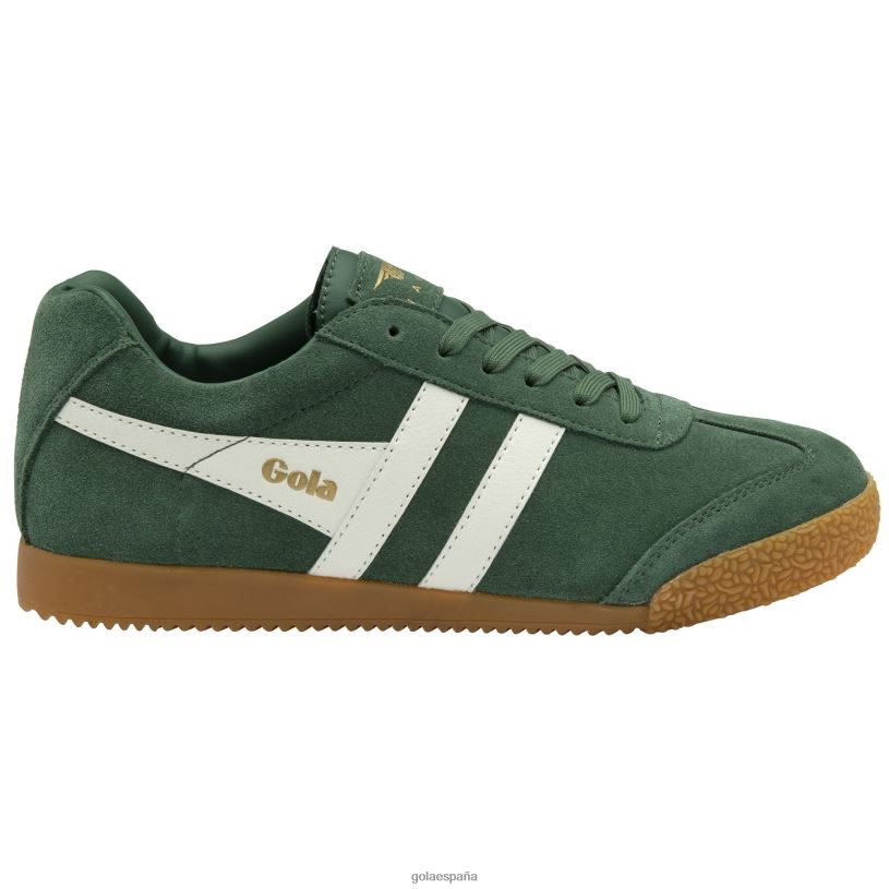 calzado V4PZL661 hombres Gola tenis classics harrier de ante siempreverde/blanco roto