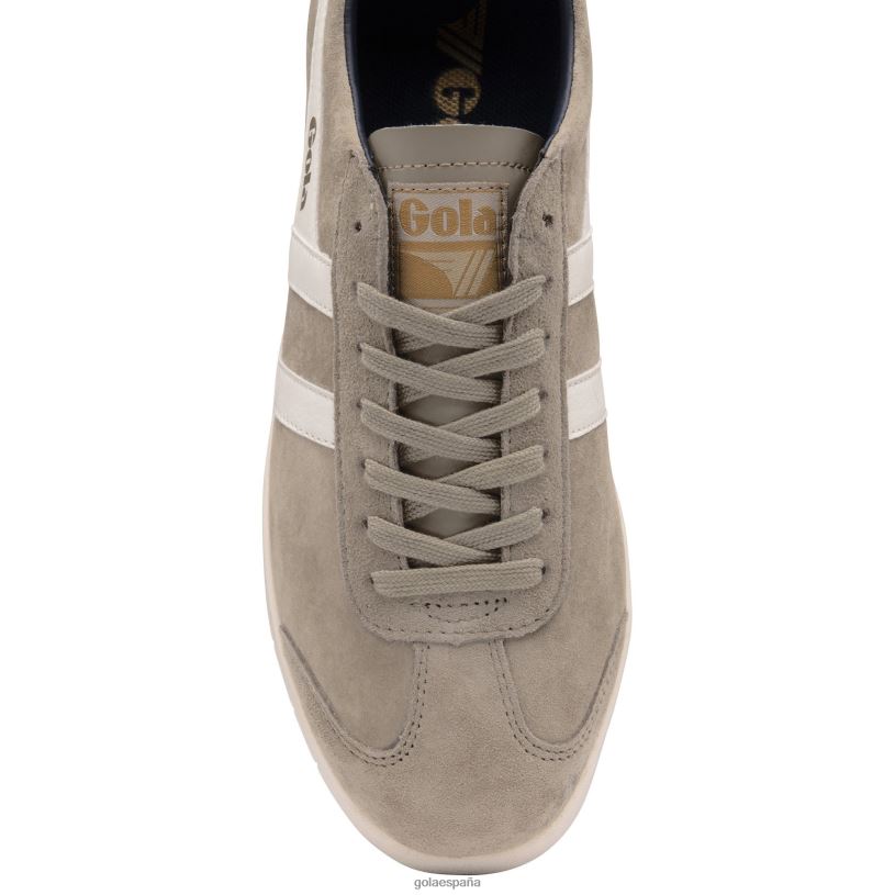 calzado V4PZL170 hombres Gola tenis clásicos de ante Hurricane rinoceronte/blanco roto/azul marino