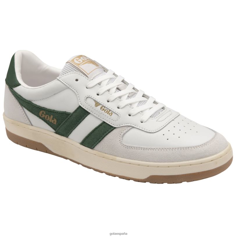 calzado V4PZL238 hombres Gola zapatillas clásicas halcón blanco/verde oscuro